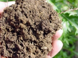 soil-roots-aggregates